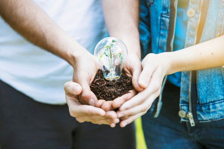 bulb in hands