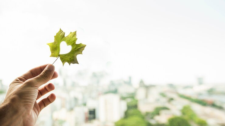 leaf in hand