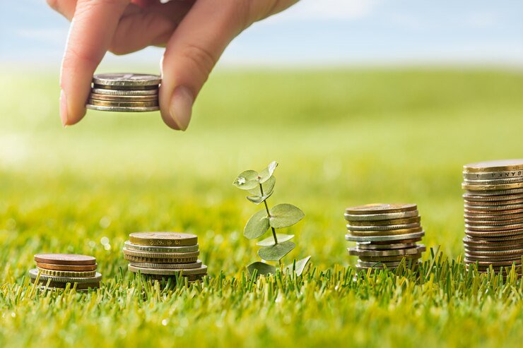 coins on grass